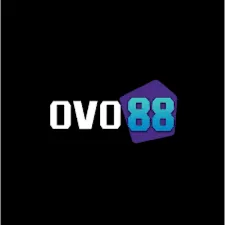 OVO88 - Petualangan Seru Menunggu Anda